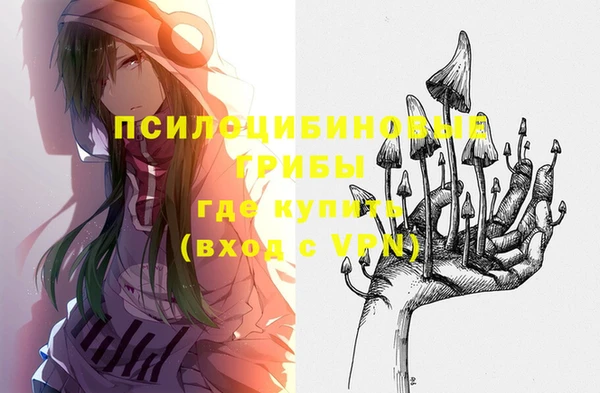 твердый Абинск