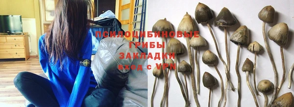 твердый Абинск