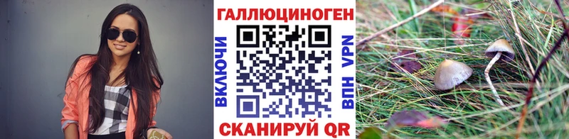 где можно купить наркотик  Сорск  сайты даркнета телеграм  Галлюциногенные грибы мицелий 